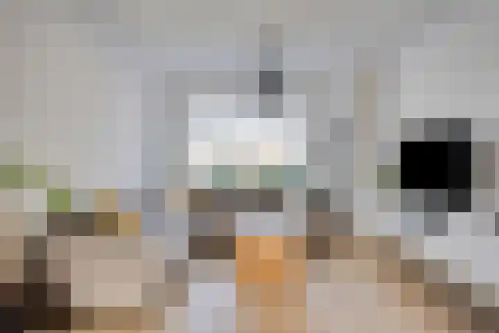 Berkehoutstraat 3 Helmond thumbnail 5