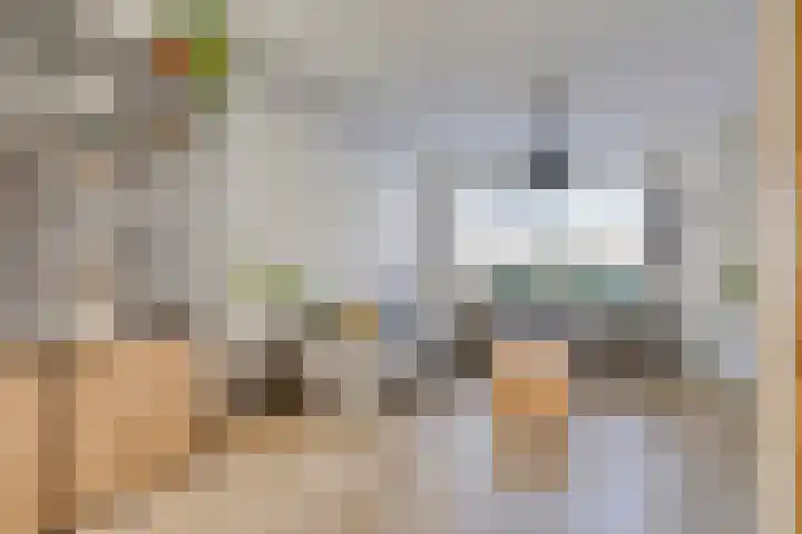 Berkehoutstraat 3 Helmond thumbnail 6