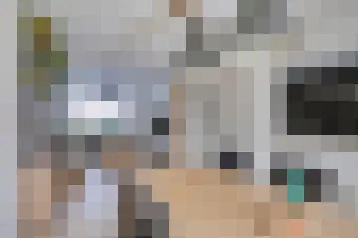 Berkehoutstraat 3 Helmond thumbnail 9