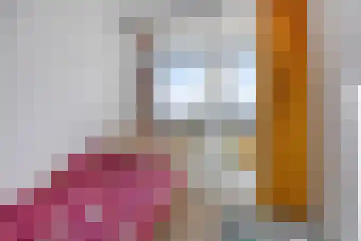 Berkel 12 Apeldoorn thumbnail 14