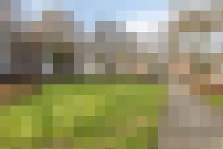 Berkel 12 Apeldoorn thumbnail 18