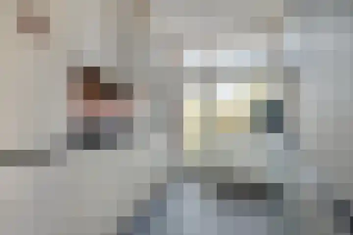 Berkel 12 Apeldoorn thumbnail 9