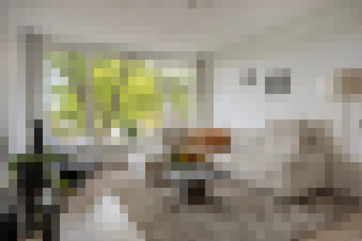 Berkel 22 Apeldoorn thumbnail 4