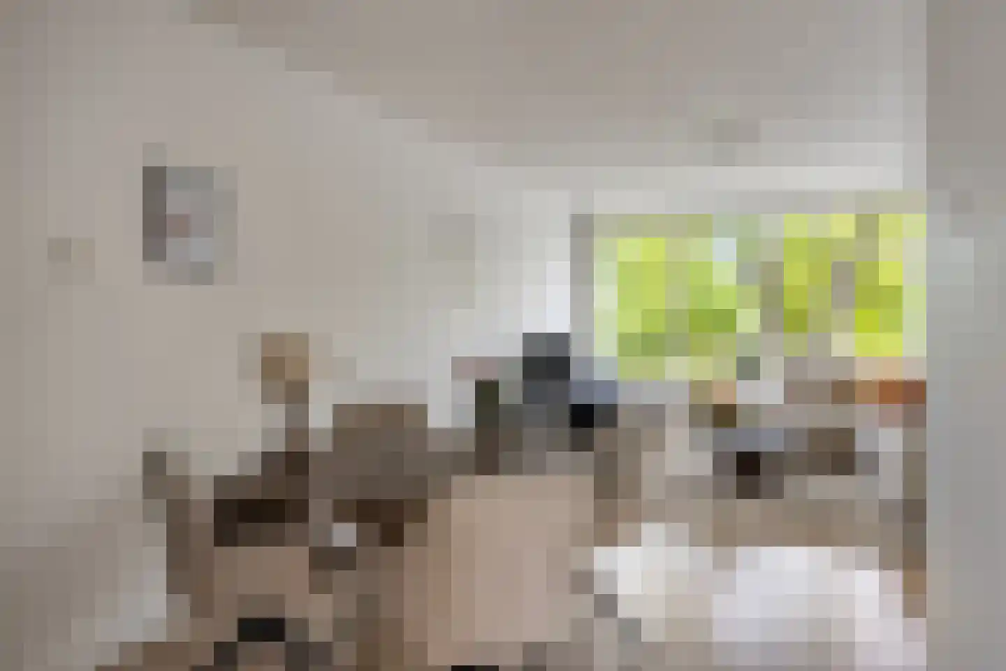 Berkel 22 Apeldoorn thumbnail 9