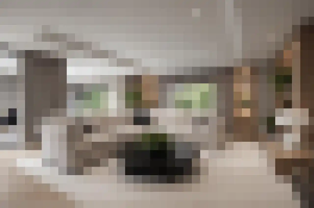 Berkelaan 3 Drachten thumbnail 10