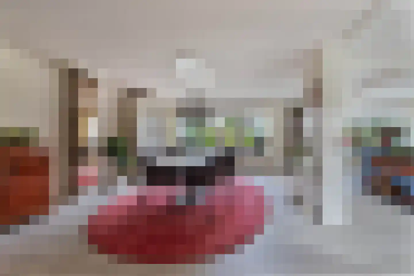 Berkelaan 3 Drachten thumbnail 12