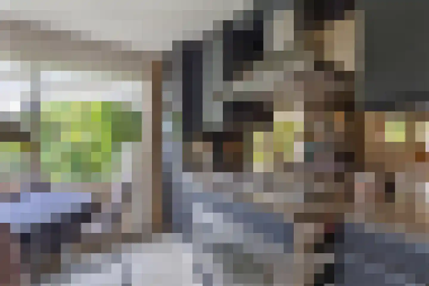 Berkelaan 3 Drachten thumbnail 17