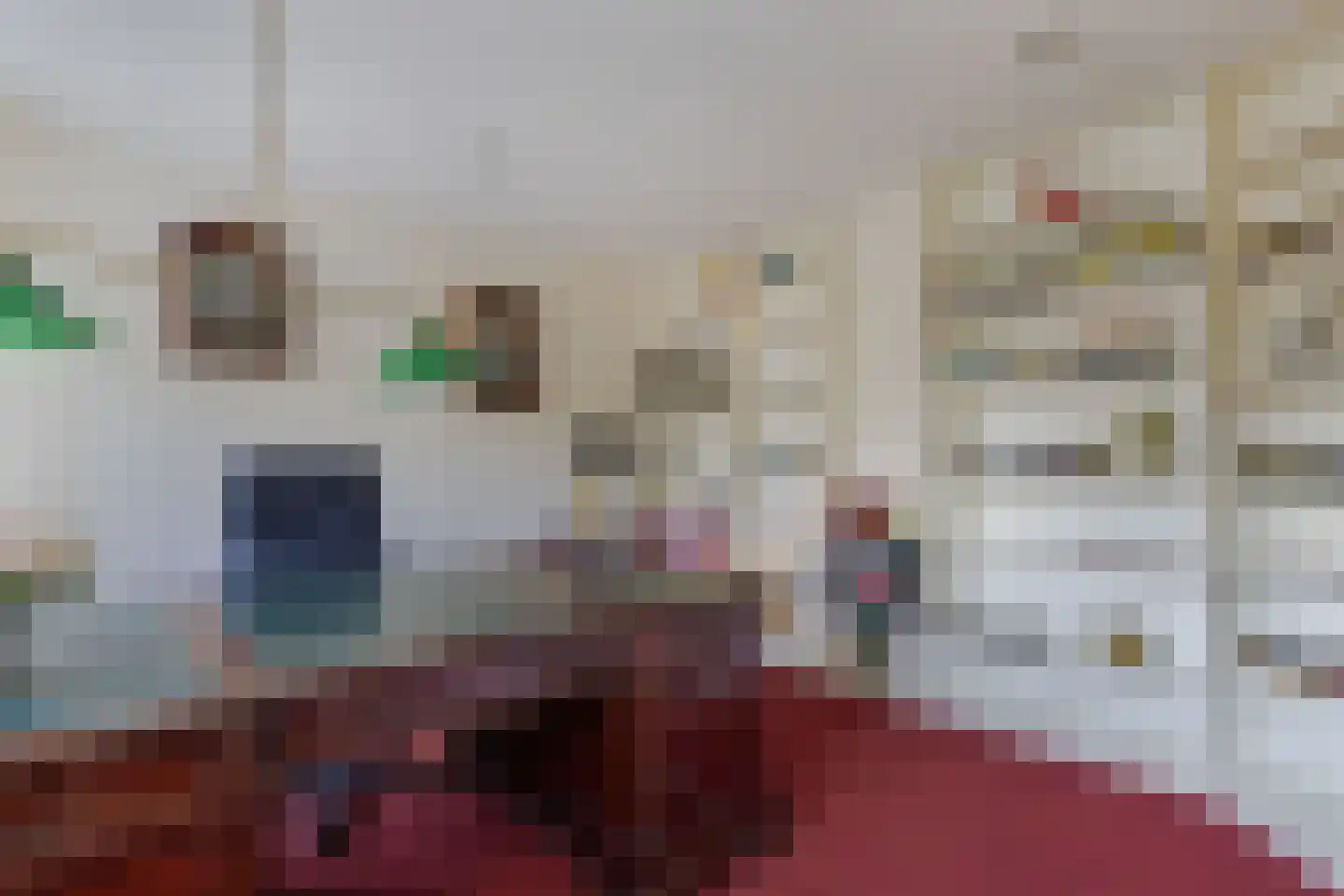 Berkelaan 3 Drachten thumbnail 24