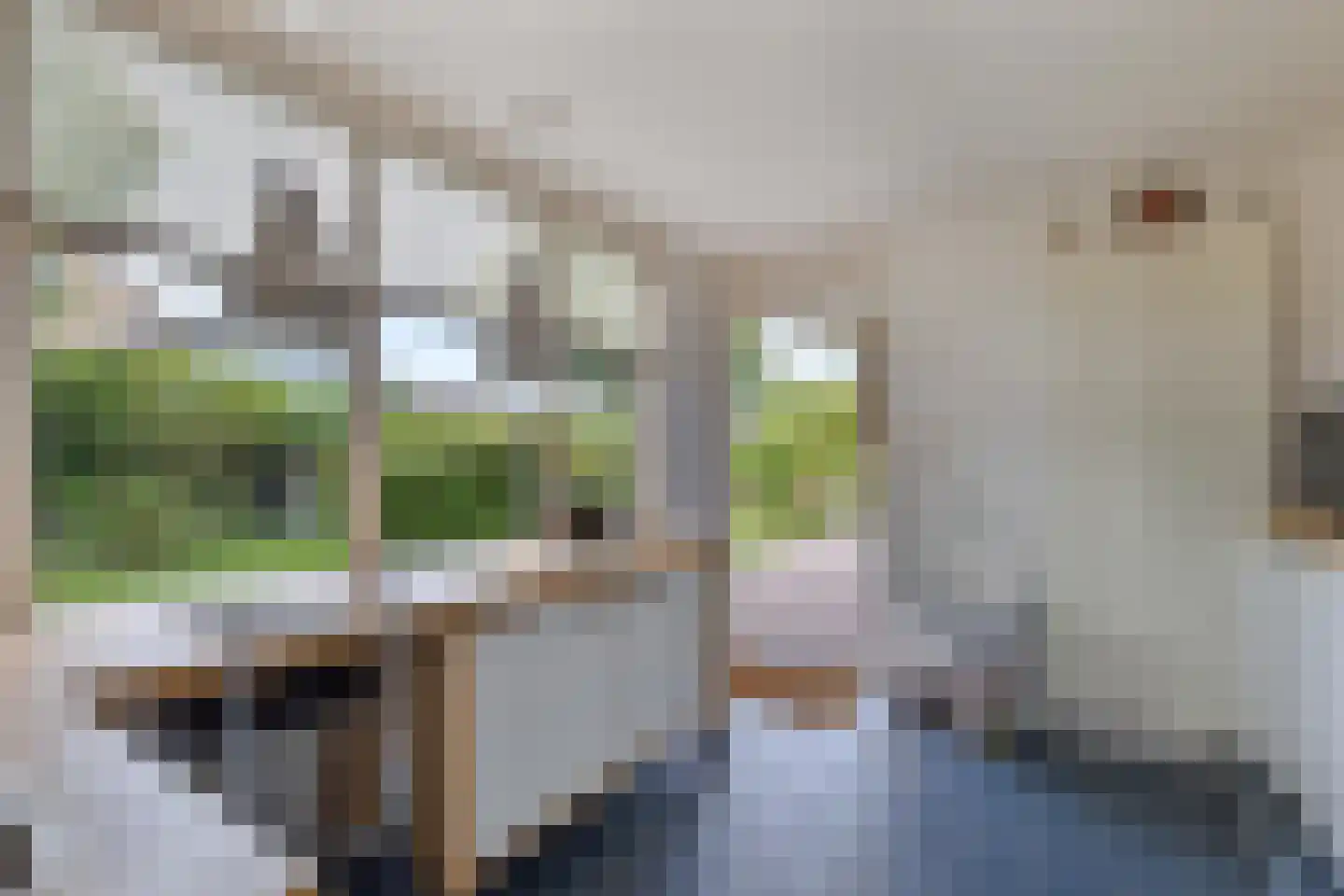 Berkelaan 3 Drachten thumbnail 27