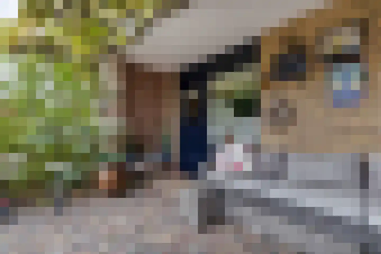 Berkelaan 3 Drachten thumbnail 33
