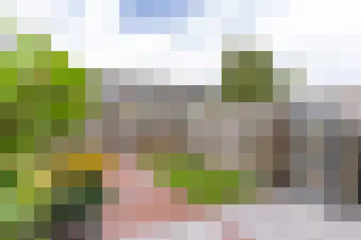 Berkelaan 3 Grootebroek thumbnail 26