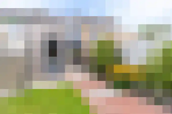 Berkelaan 3 Grootebroek thumbnail 28