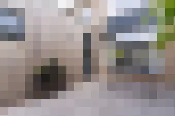 Berkelaan 3 Grootebroek thumbnail 29