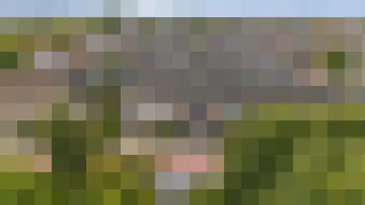 Berkelaan 3 Grootebroek thumbnail 40