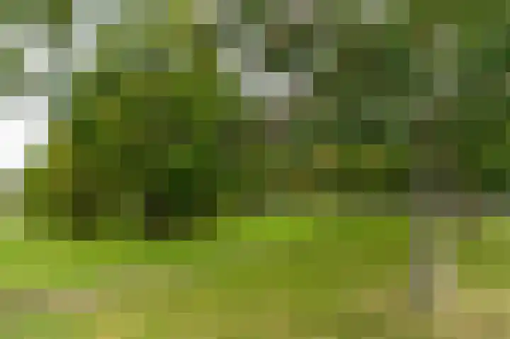 Berkelaan 3 Grootebroek thumbnail 45