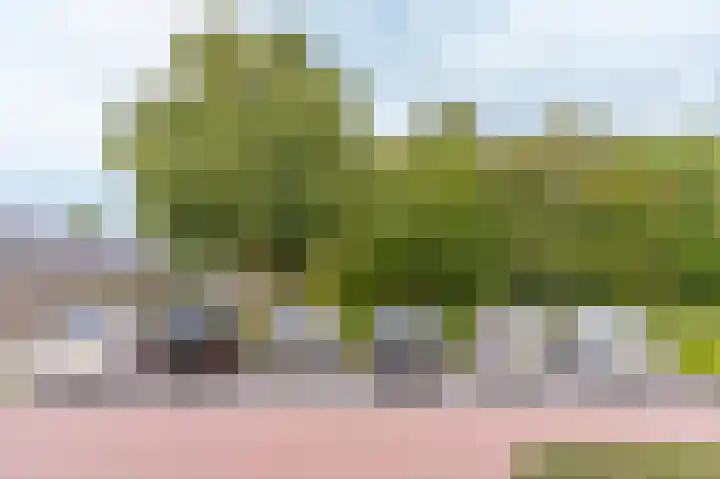 Berkelaan 3 Grootebroek thumbnail 46