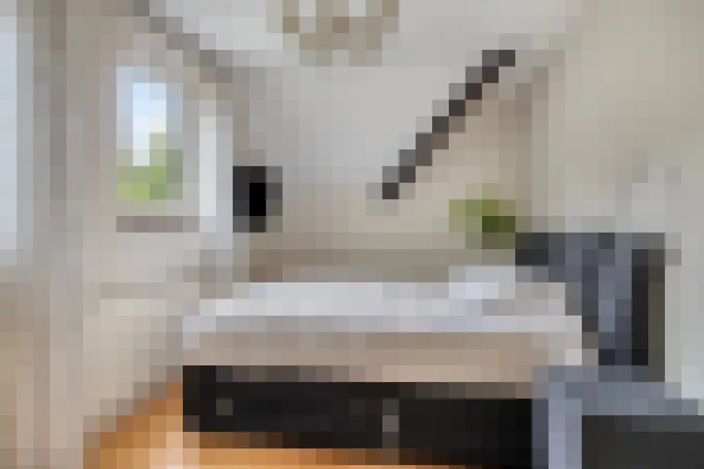 Berkelaar 23 Asten thumbnail 17