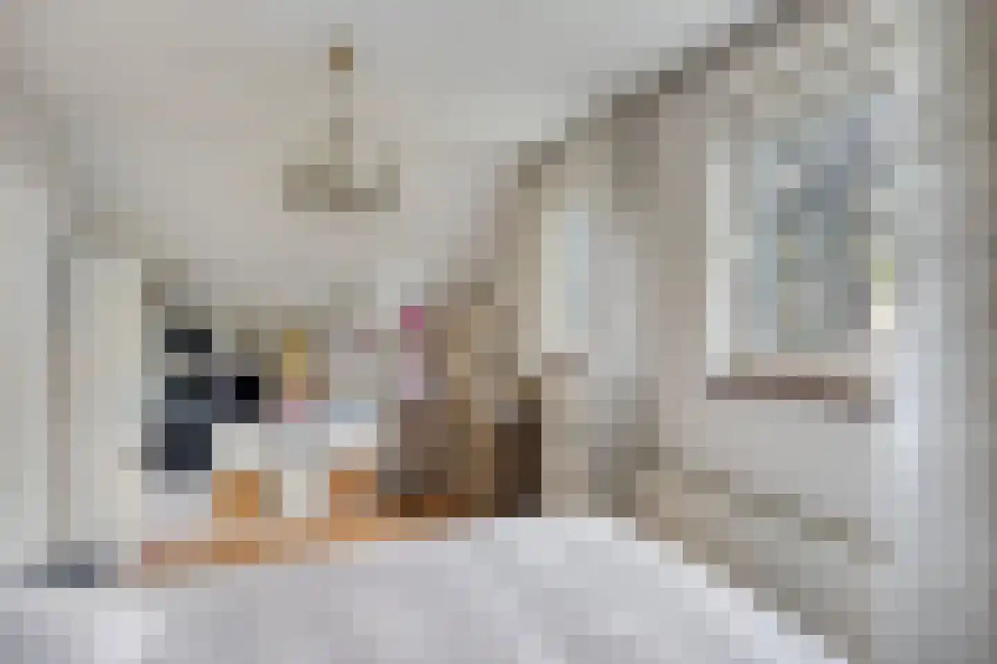 Berkelaar 23 Asten thumbnail 18