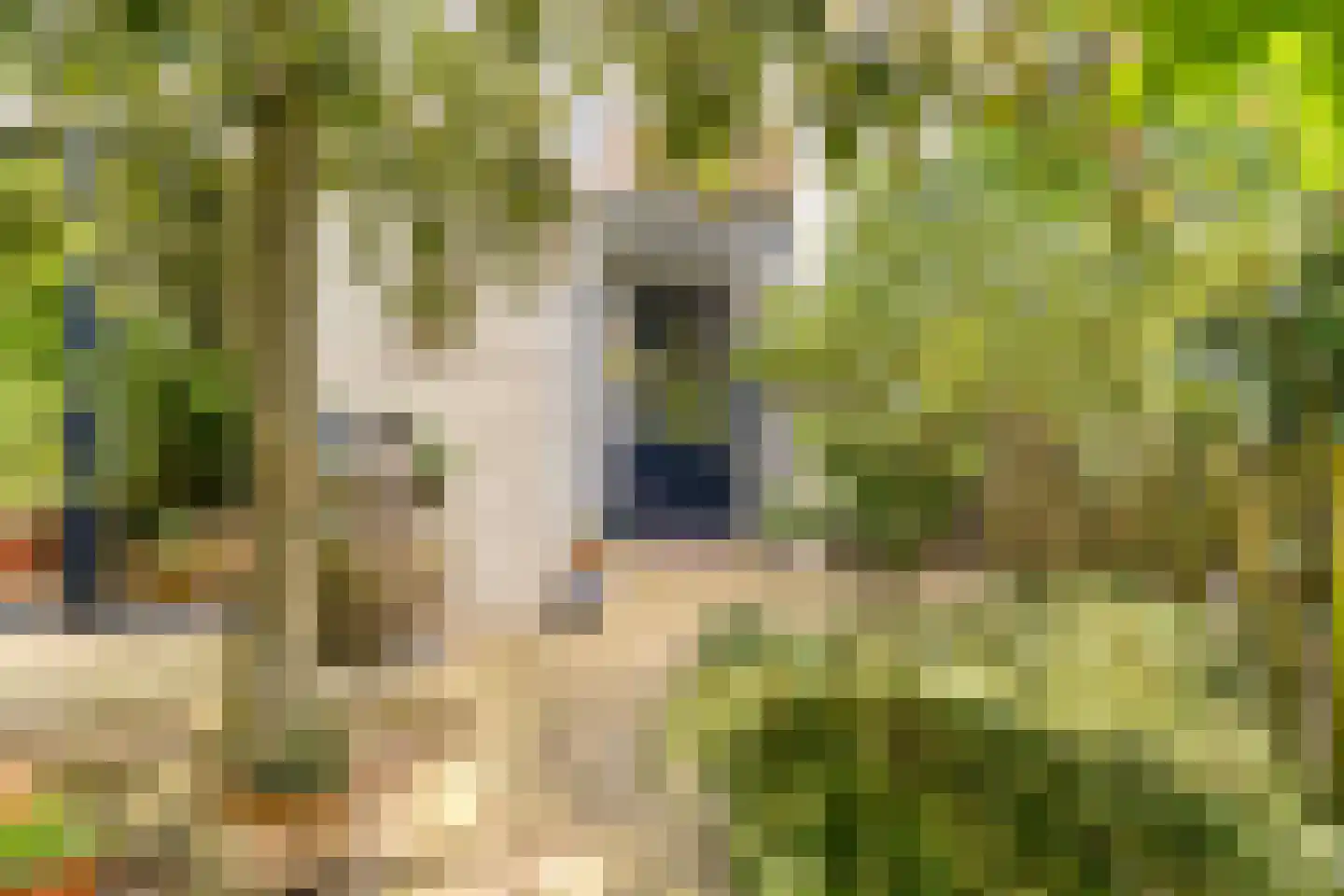 Berkelaar 23 Asten thumbnail 22