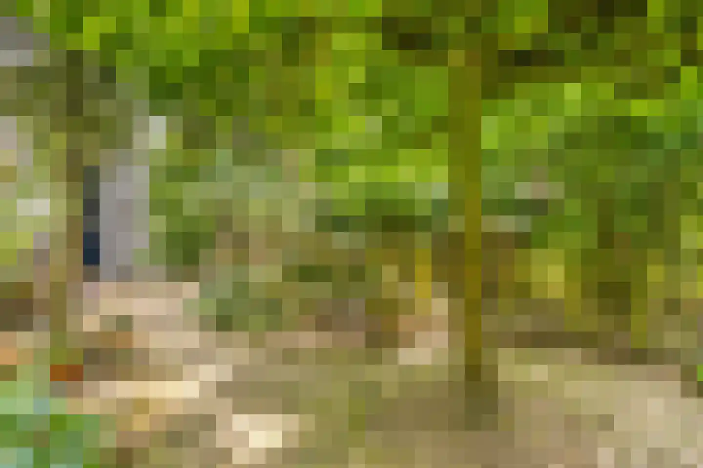 Berkelaar 23 Asten thumbnail 23