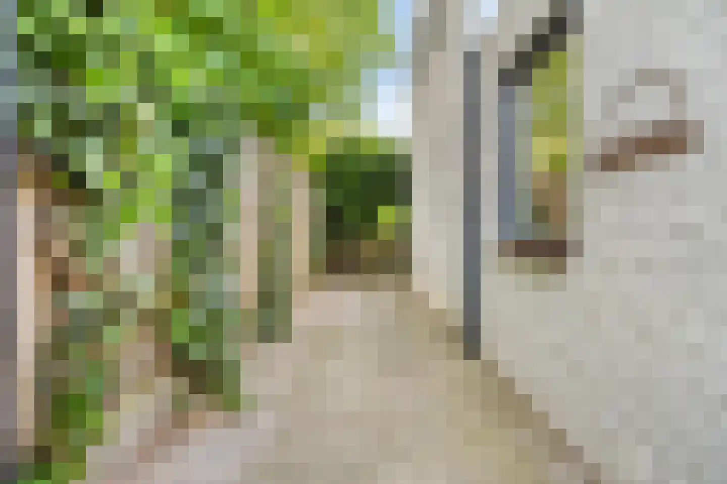 Berkelaar 23 Asten thumbnail 24