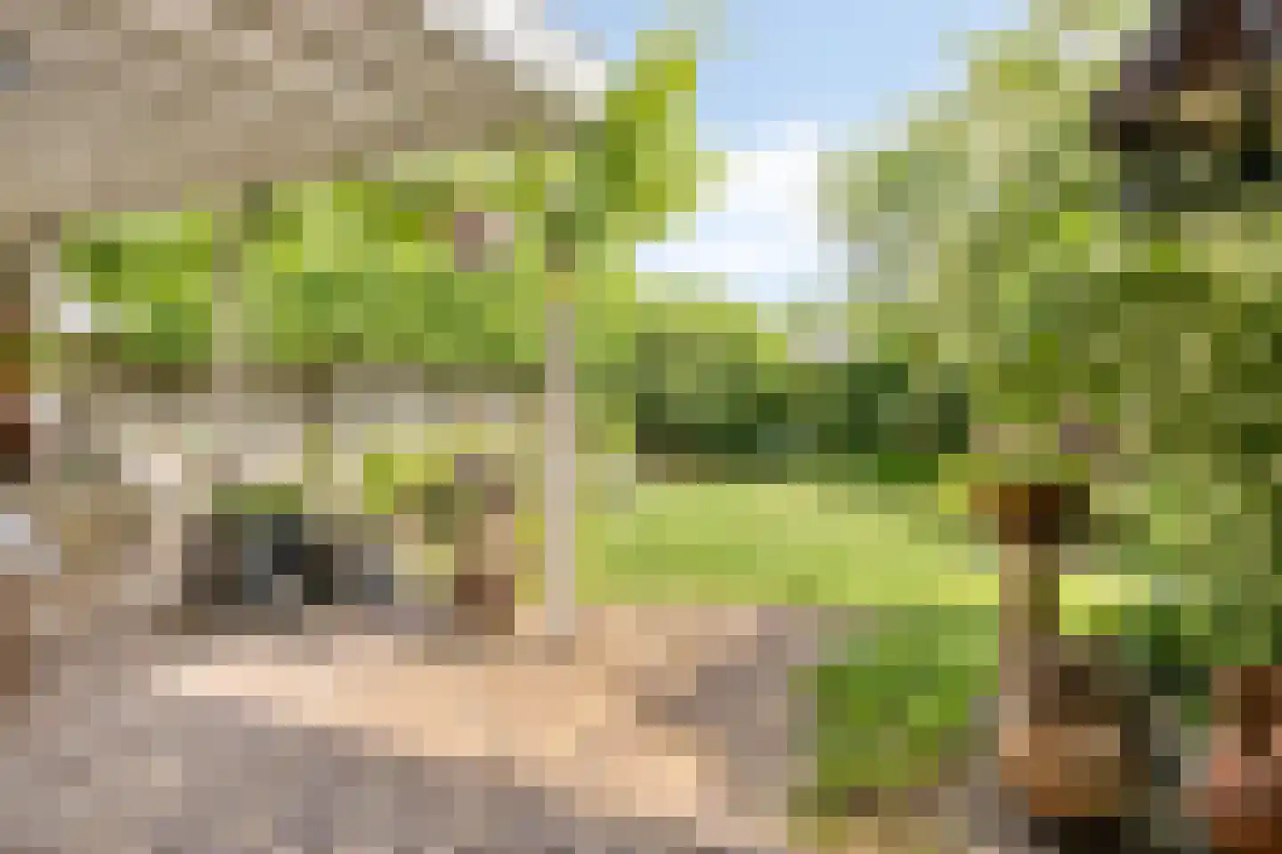 Berkelaar 23 Asten thumbnail 26