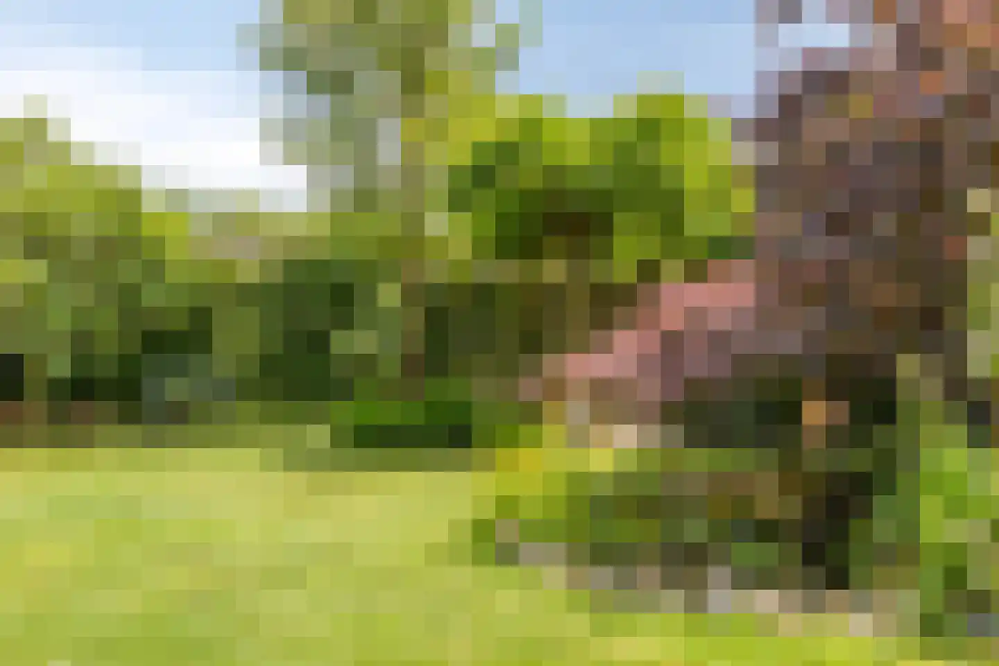 Berkelaar 23 Asten thumbnail 27