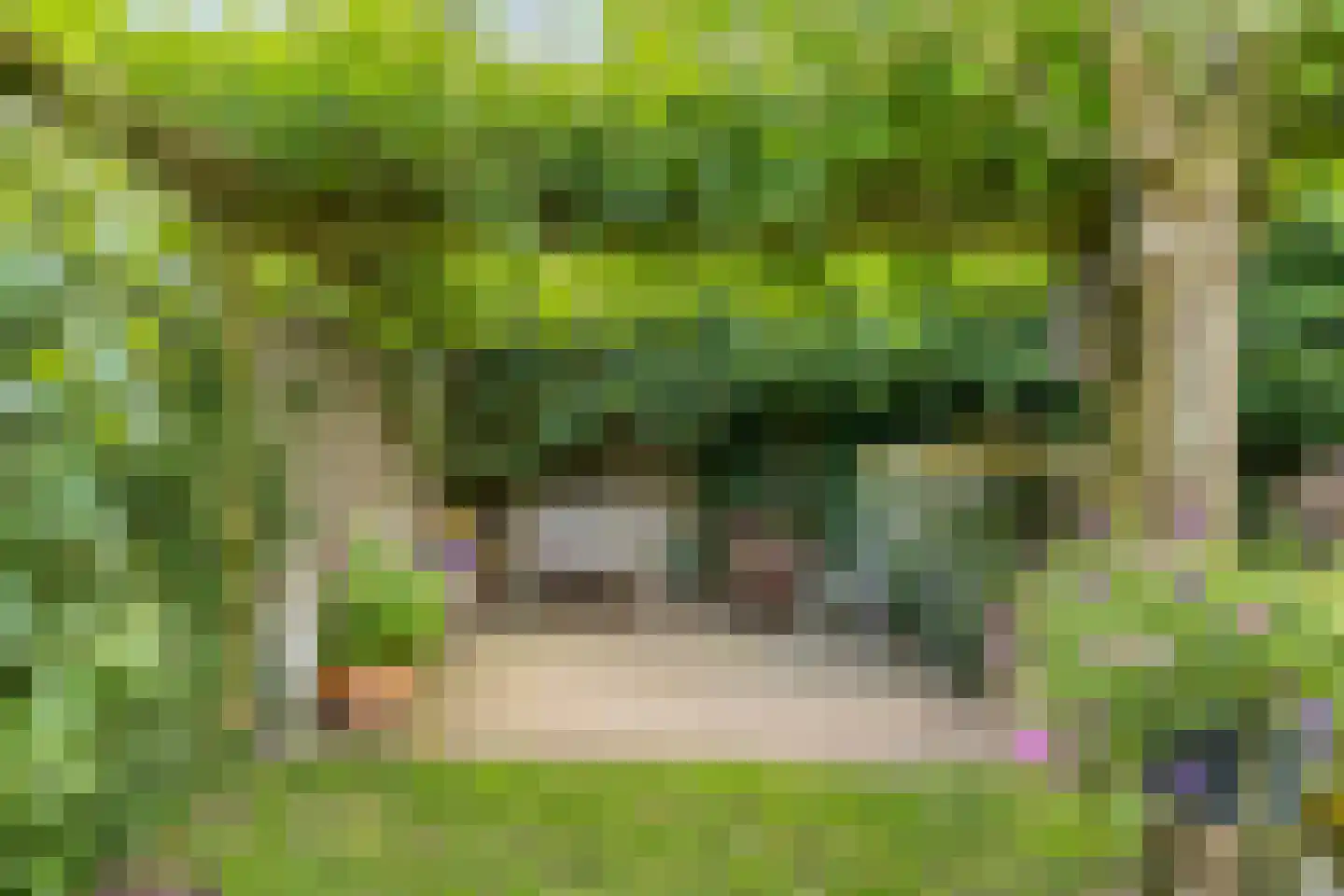 Berkelaar 23 Asten thumbnail 28