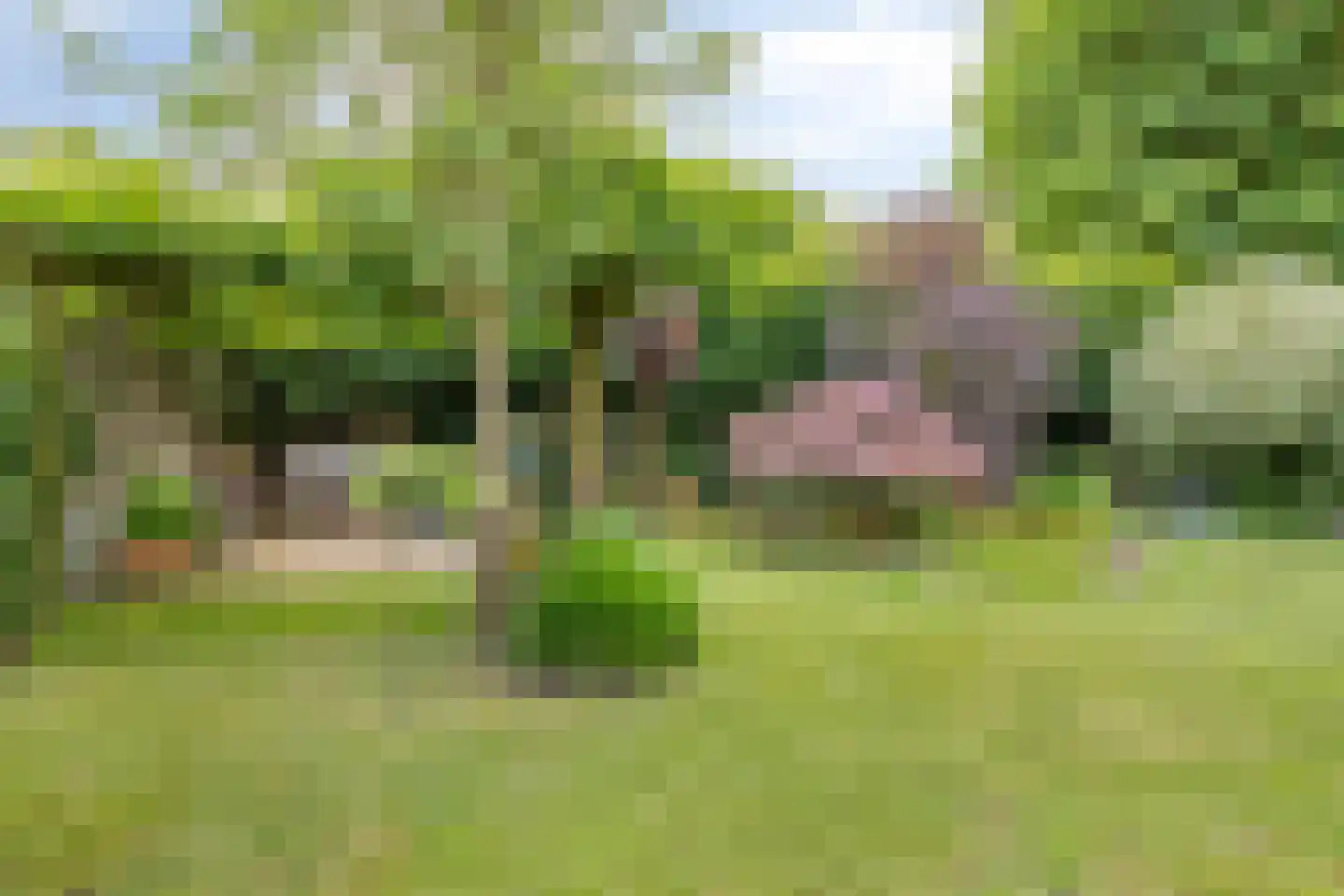 Berkelaar 23 Asten thumbnail 29