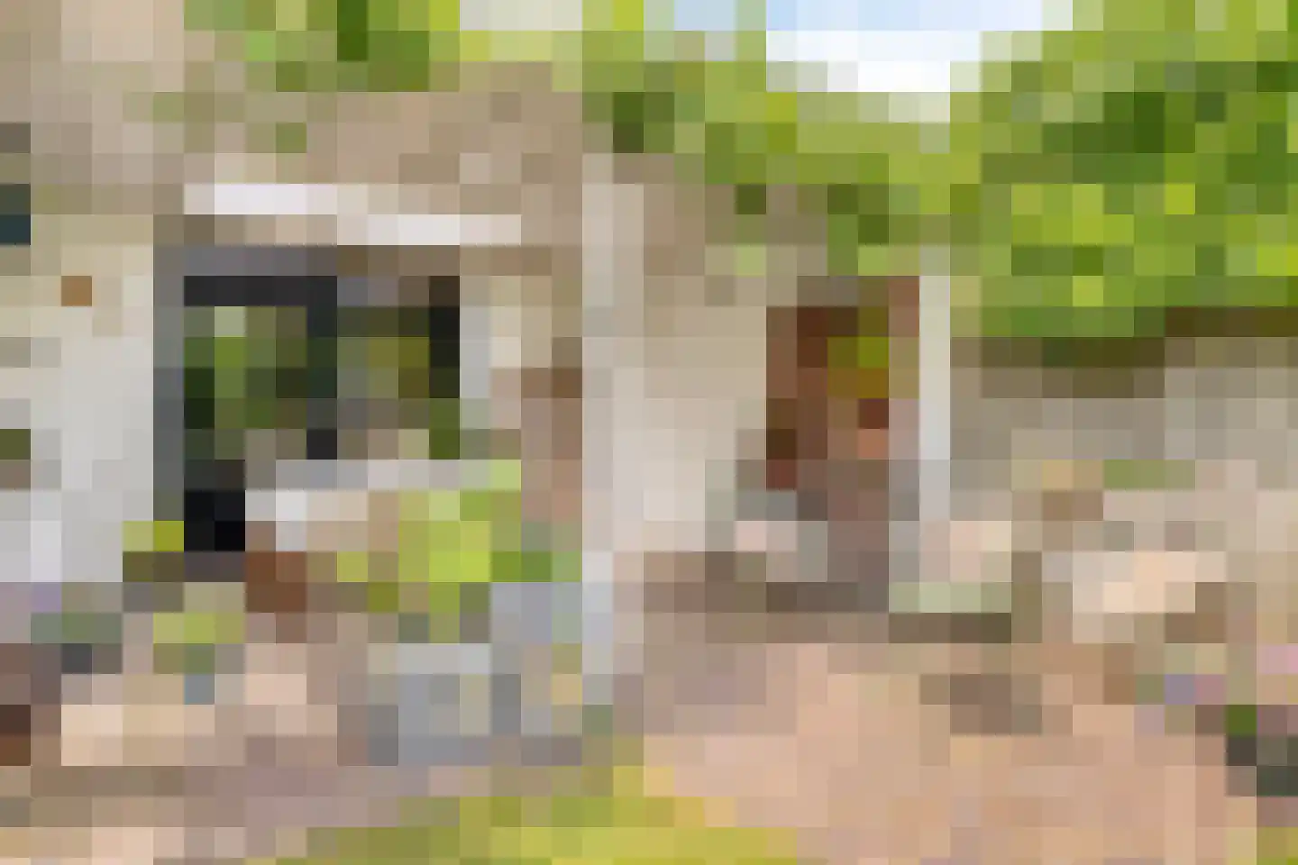 Berkelaar 23 Asten thumbnail 30