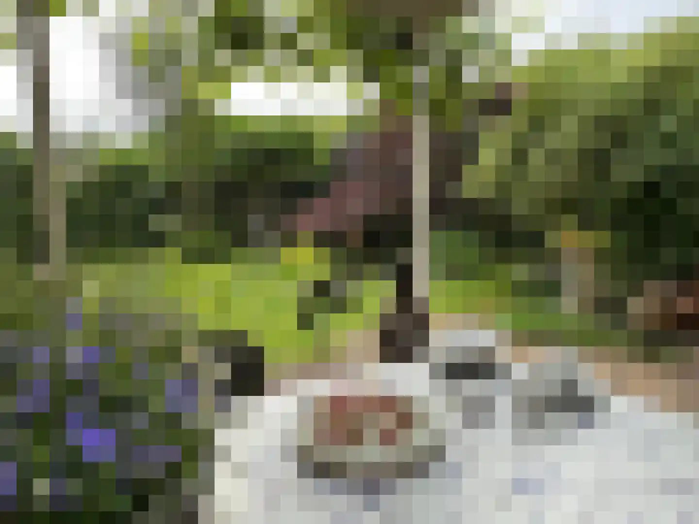 Berkelaar 23 Asten thumbnail 31