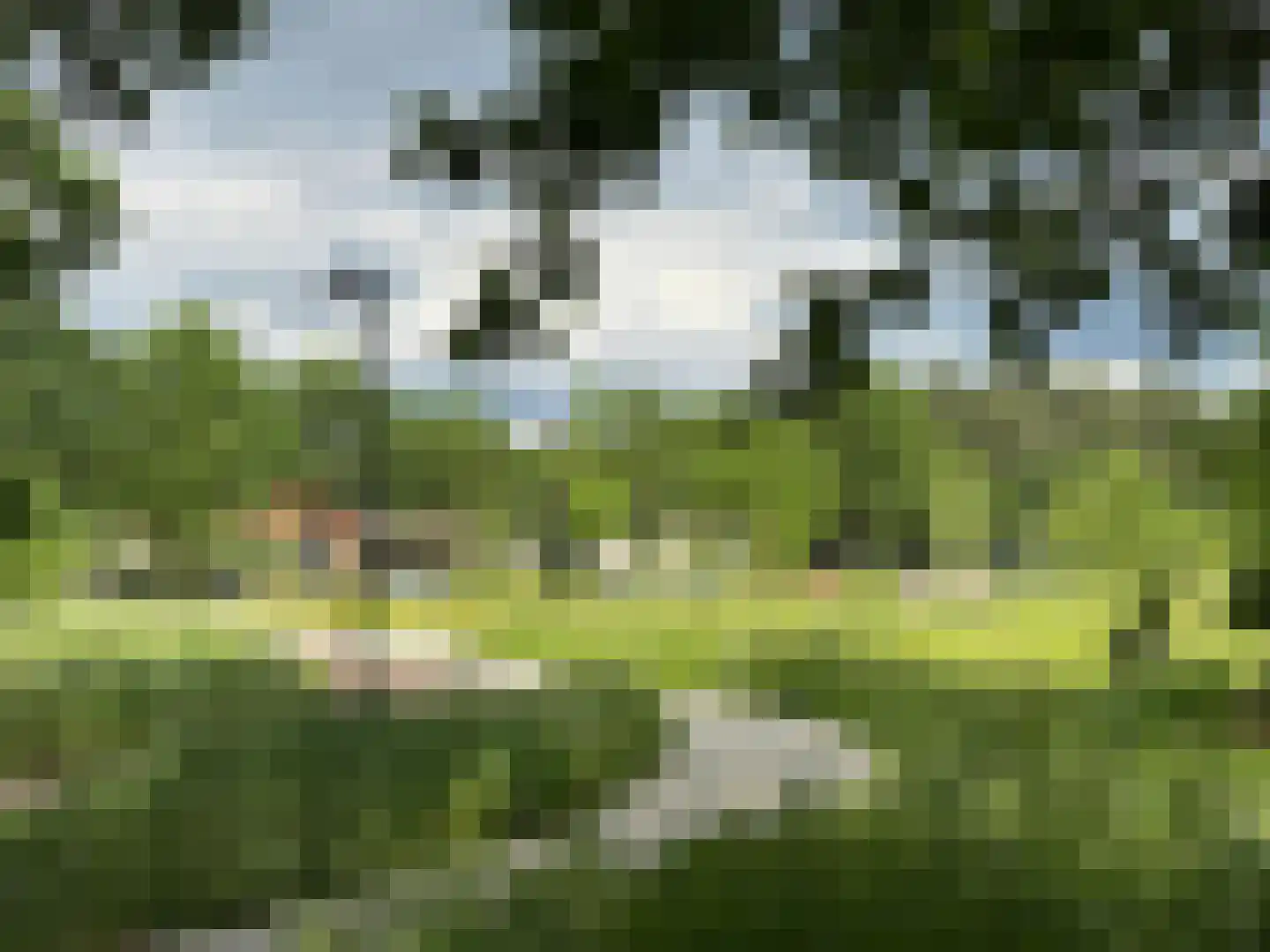 Berkelaar 23 Asten thumbnail 33