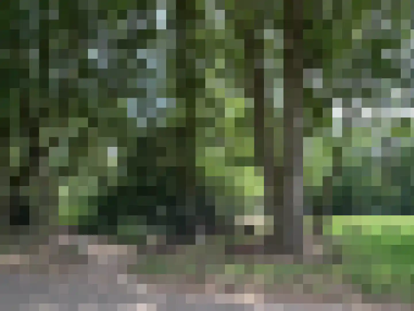 Berkelaar 23 Asten thumbnail 34