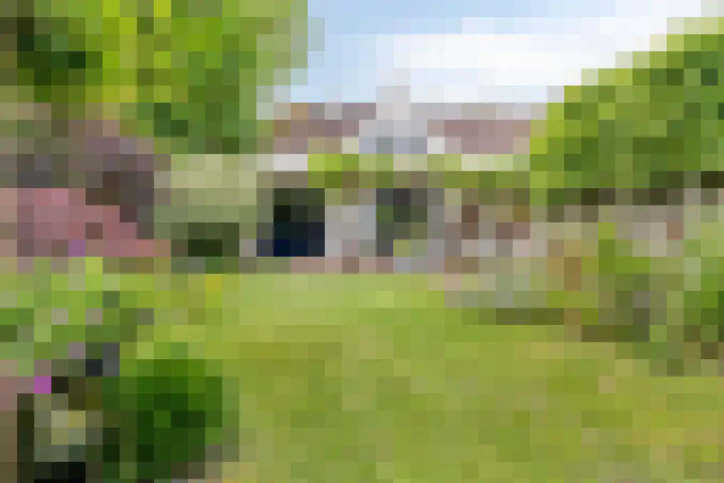 Berkelaar 23 Asten thumbnail 5