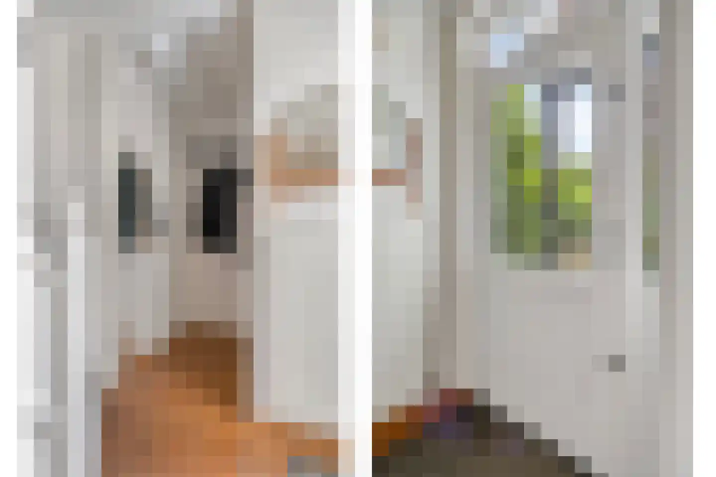 Berkelaar 23 Asten thumbnail 7