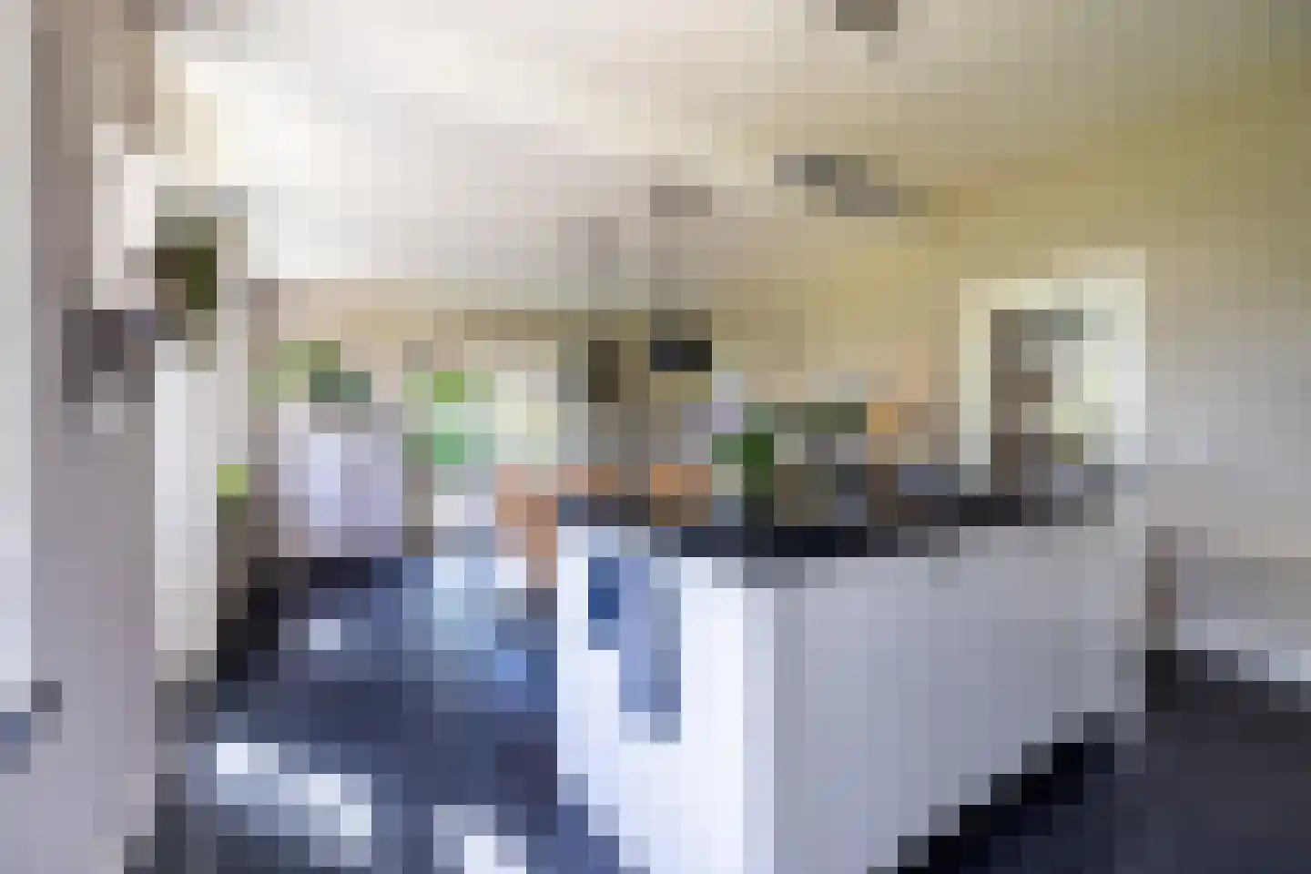 Berkelaarlaan 12 Doetinchem thumbnail 15
