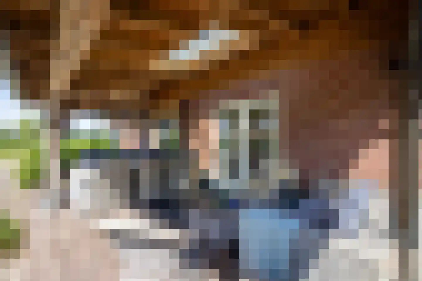 Berkelaarlaan 12 Doetinchem thumbnail 20