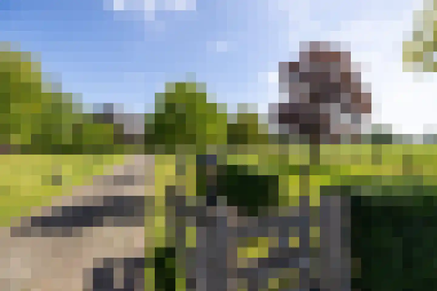 Berkelaarlaan 12 Doetinchem thumbnail 36