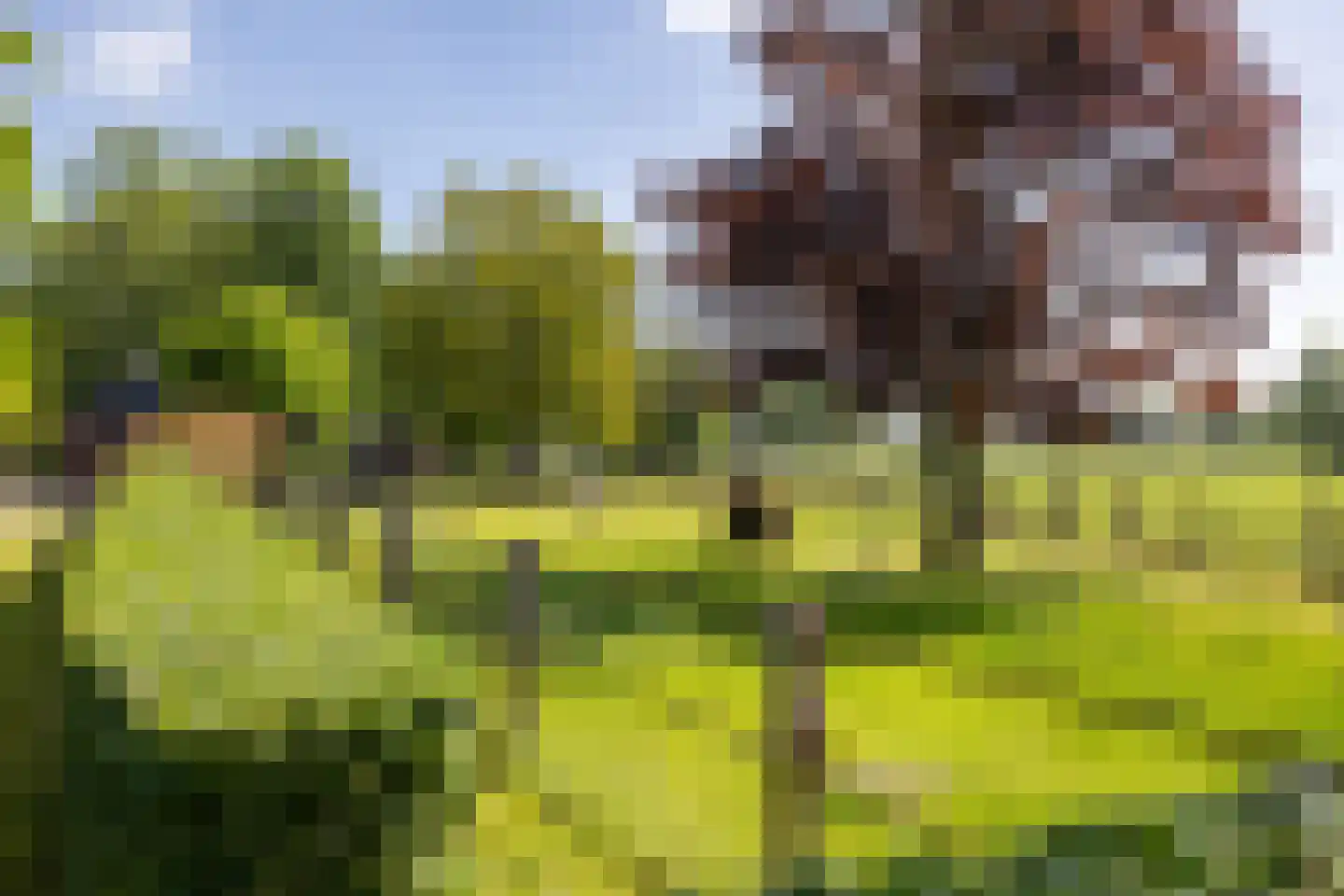 Berkelaarlaan 12 Doetinchem thumbnail 37
