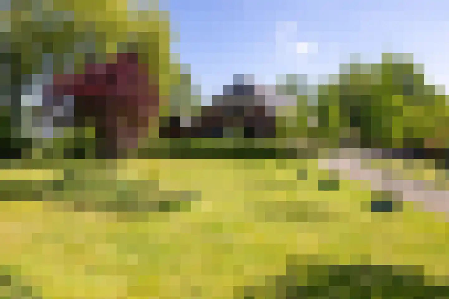 Berkelaarlaan 12 Doetinchem thumbnail 38