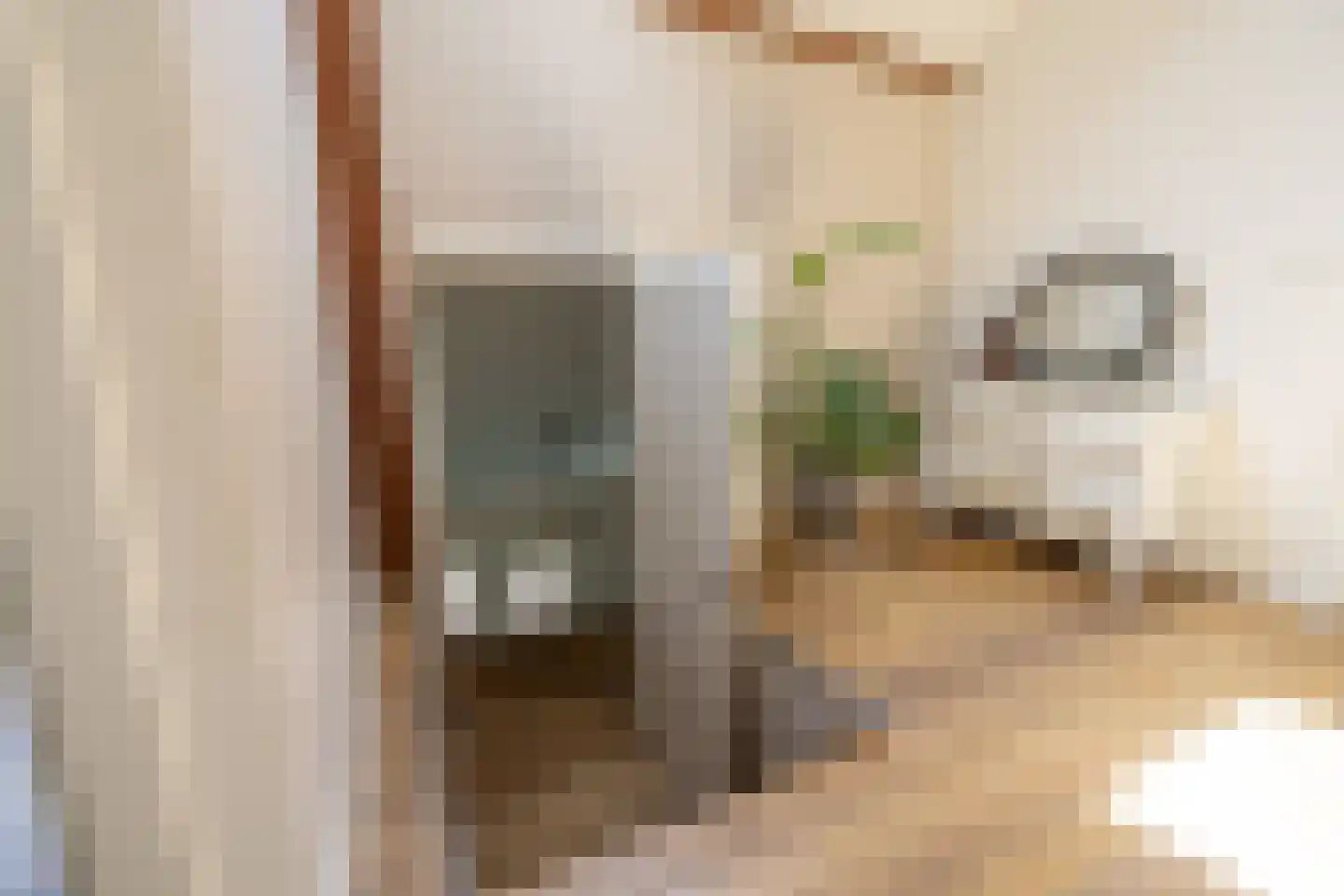 Berkelaarlaan 12 Doetinchem thumbnail 48