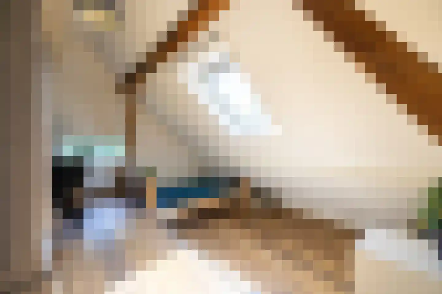 Berkelaarlaan 12 Doetinchem thumbnail 54
