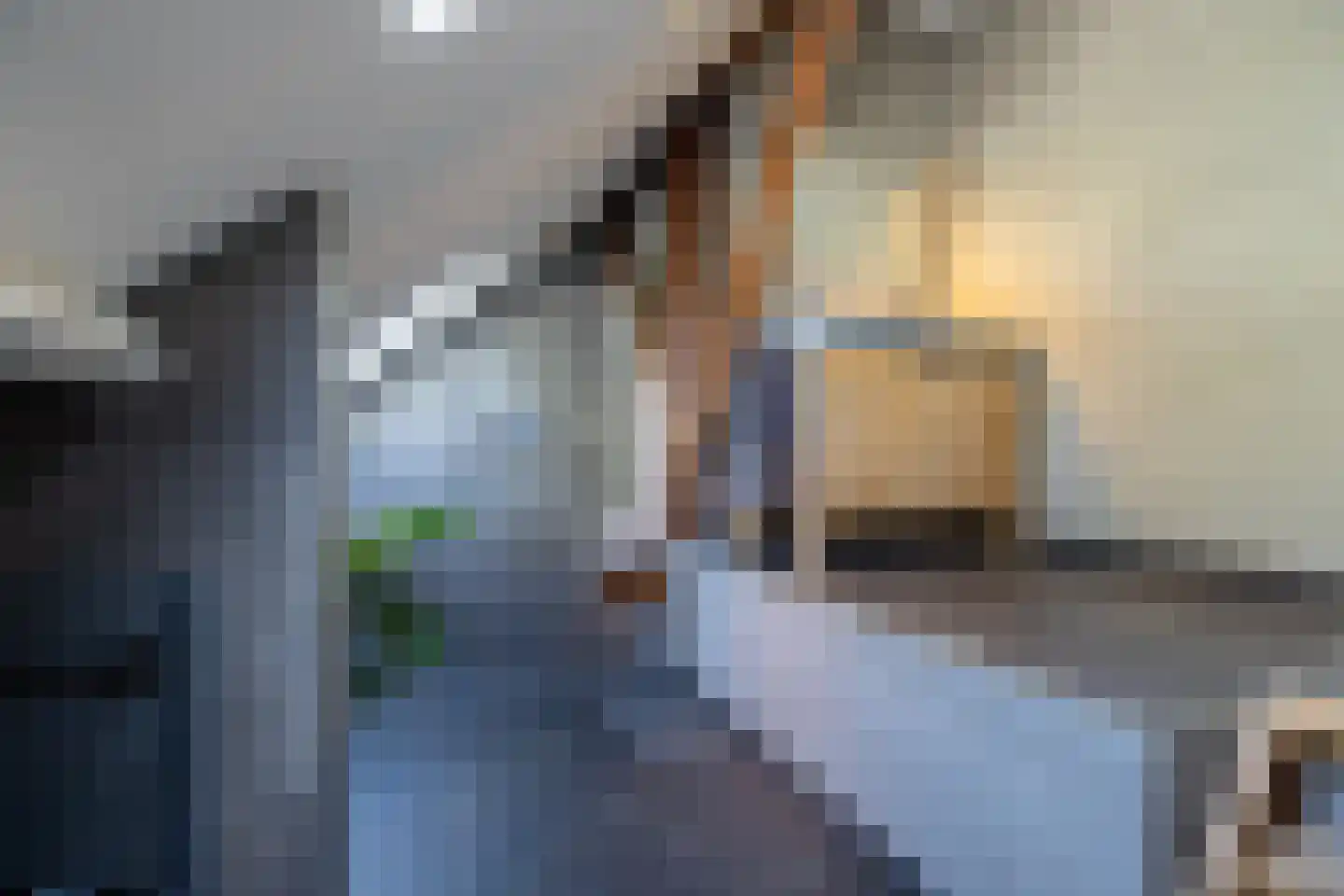 Berkelaarlaan 12 Doetinchem thumbnail 59