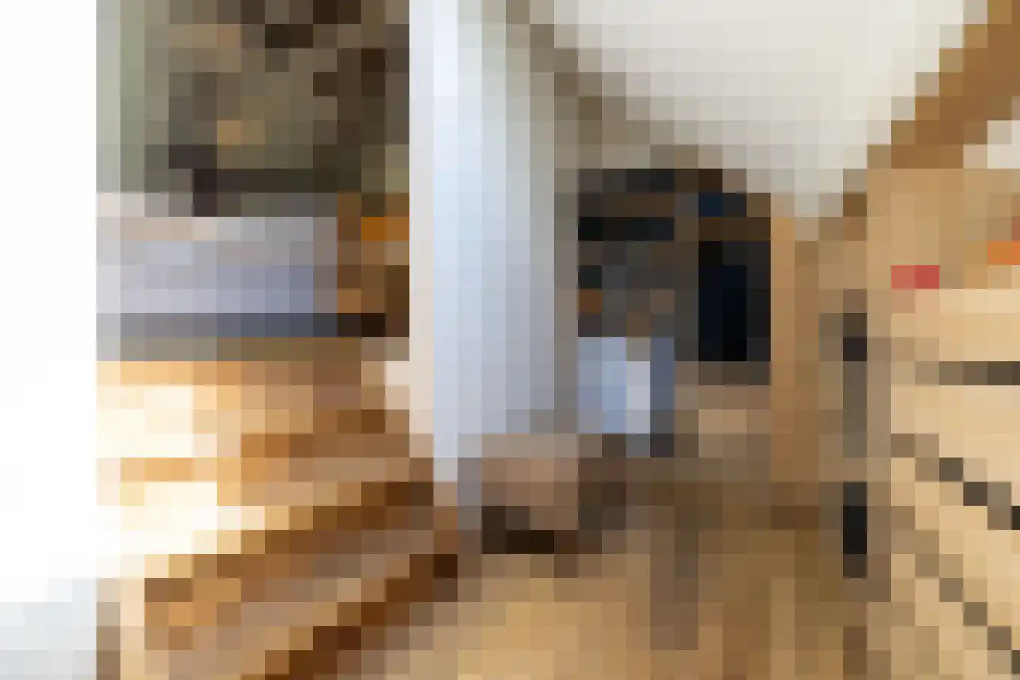 Berkelaarlaan 12 Doetinchem thumbnail 69