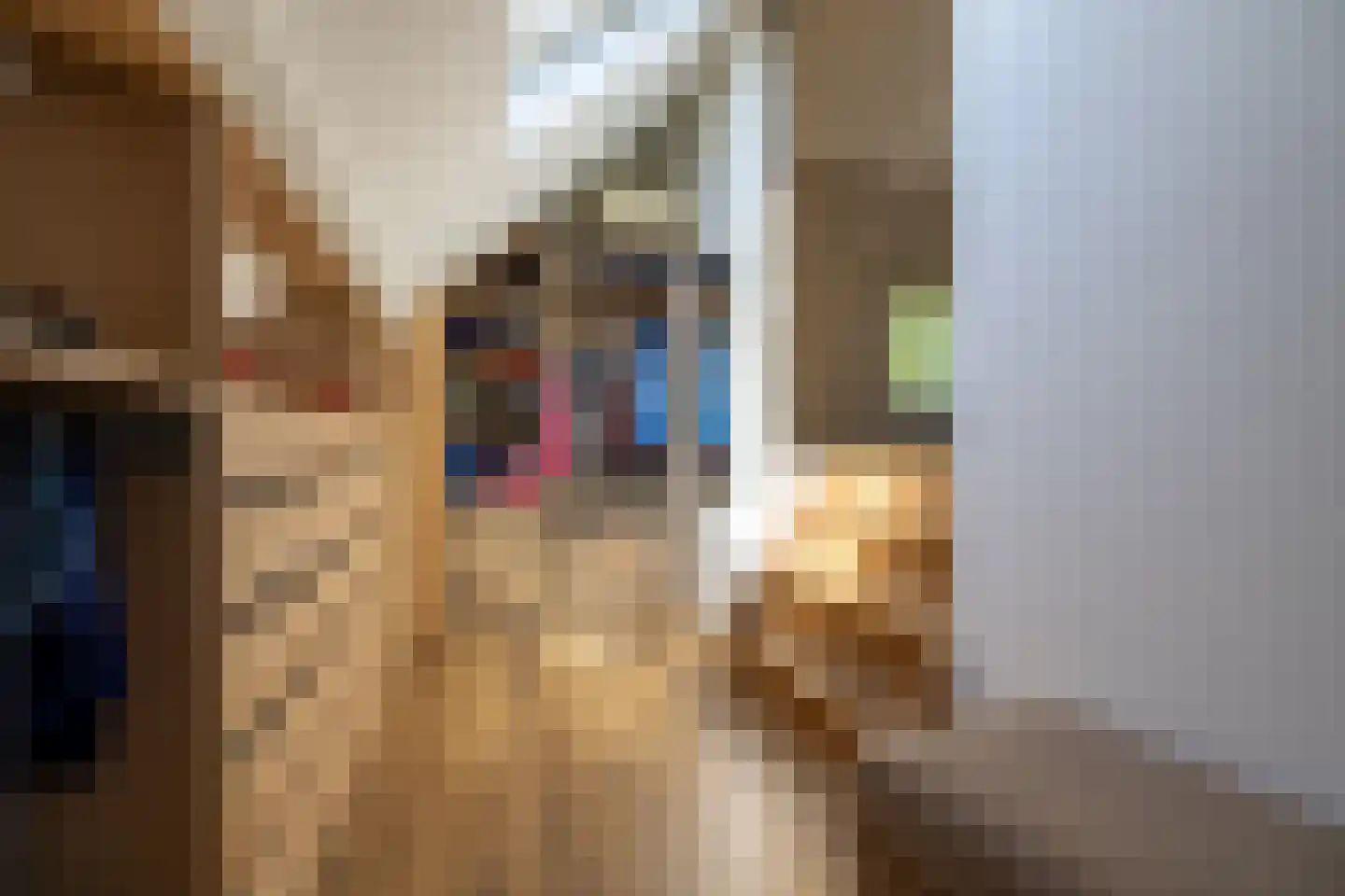 Berkelaarlaan 12 Doetinchem thumbnail 71