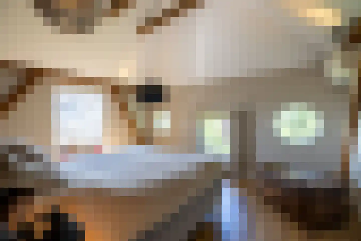 Berkelaarlaan 12 Doetinchem thumbnail 72