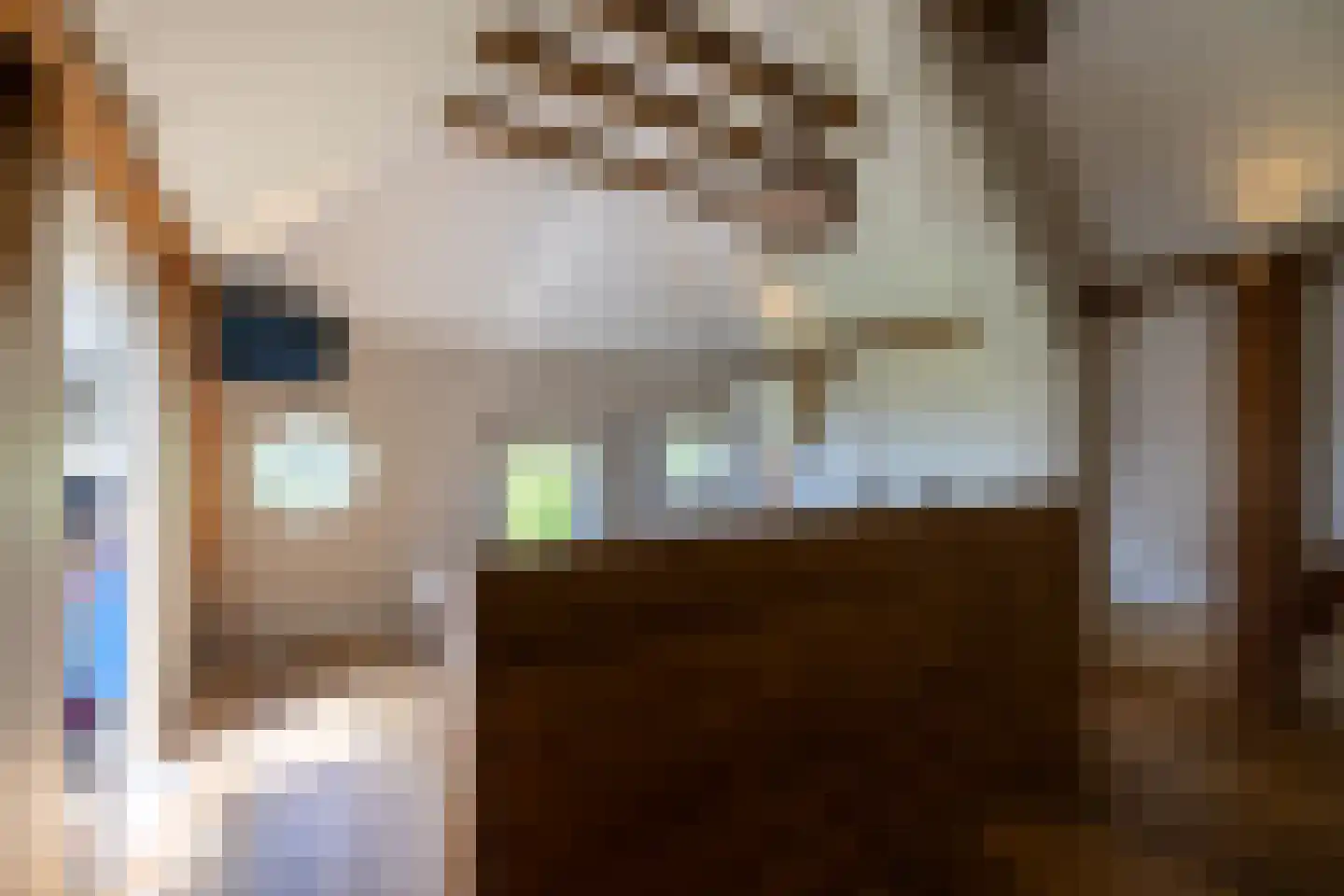 Berkelaarlaan 12 Doetinchem thumbnail 73