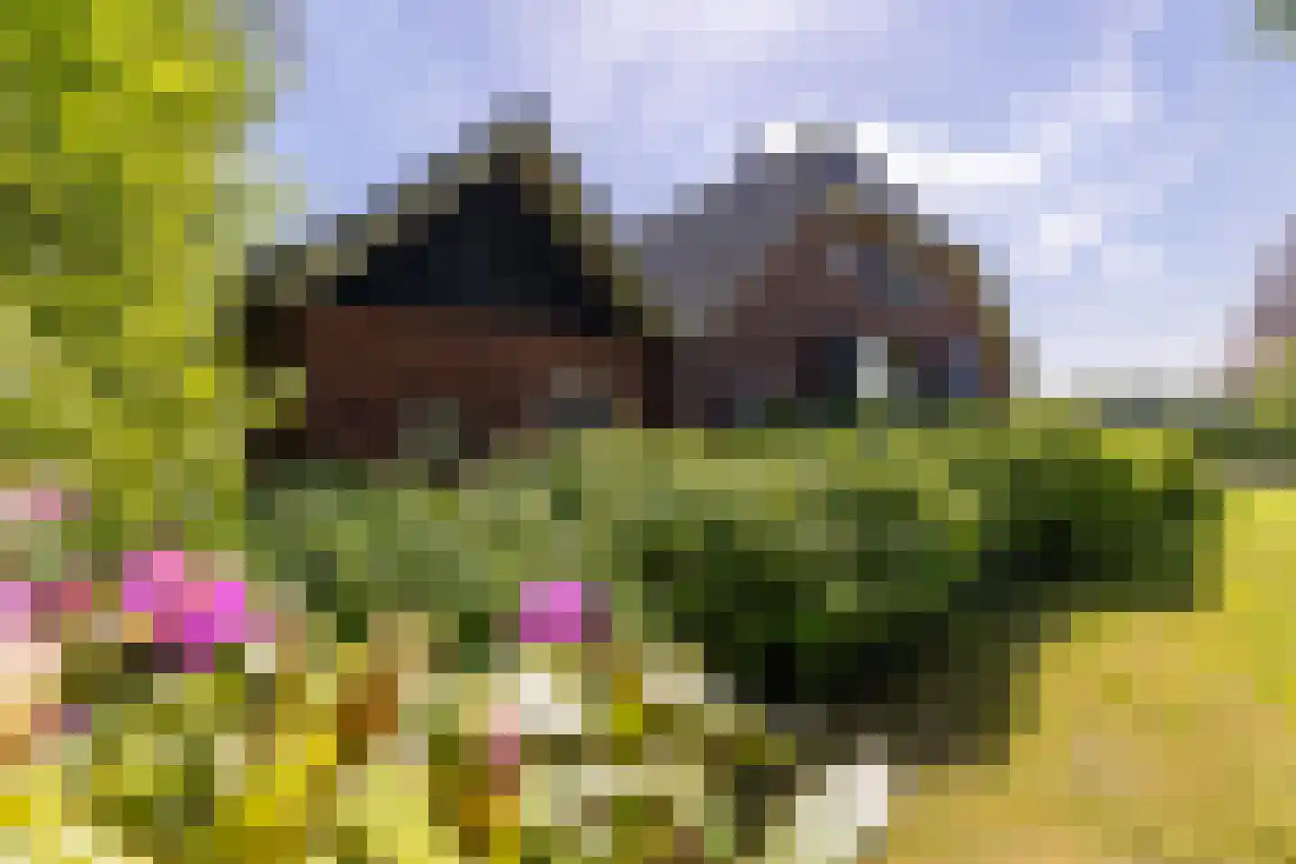 Berkelaarlaan 12 Doetinchem thumbnail 76