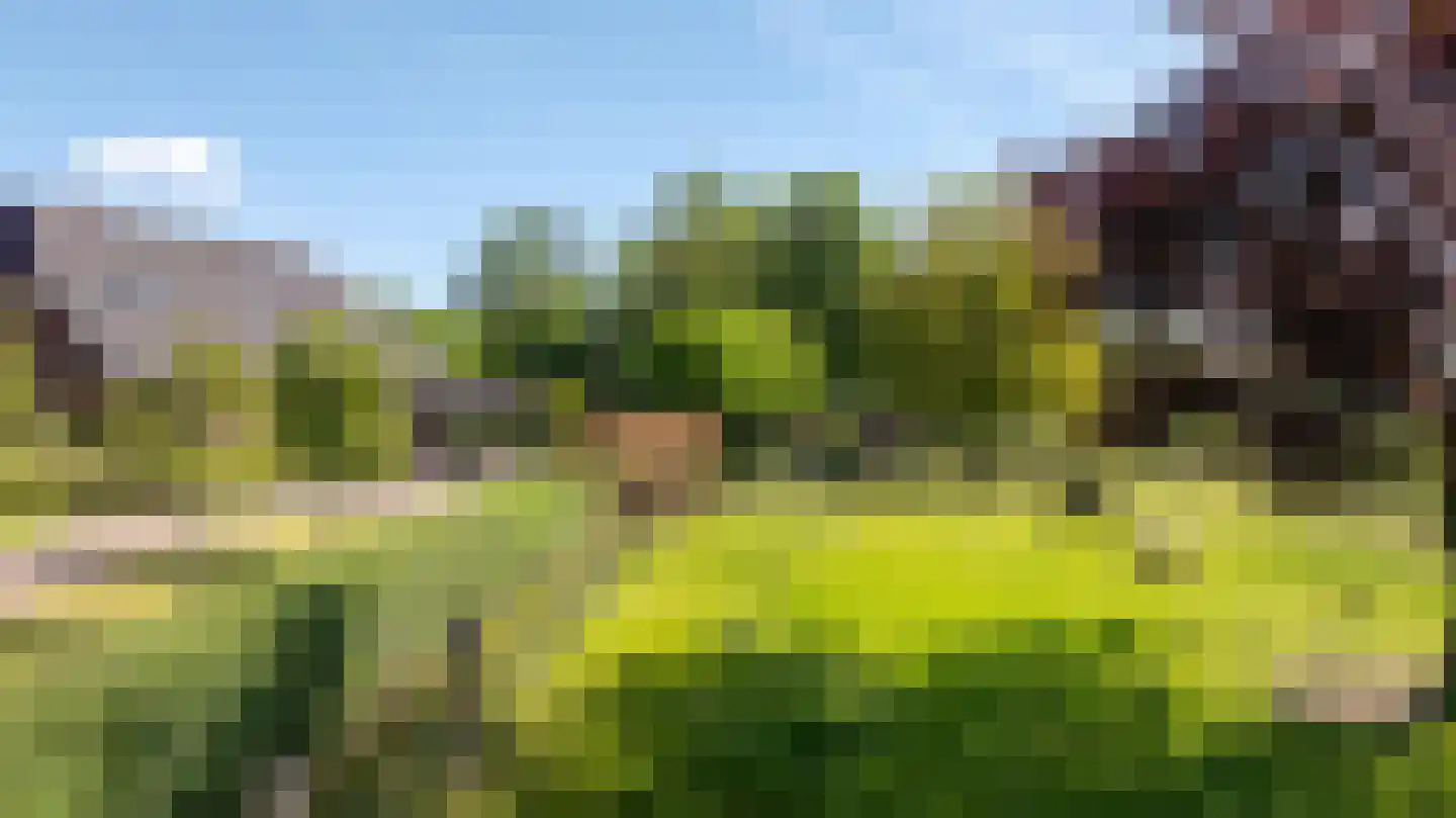 Berkelaarlaan 12 Doetinchem thumbnail 79