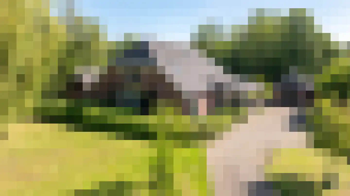 Berkelaarlaan 12 Doetinchem thumbnail 80